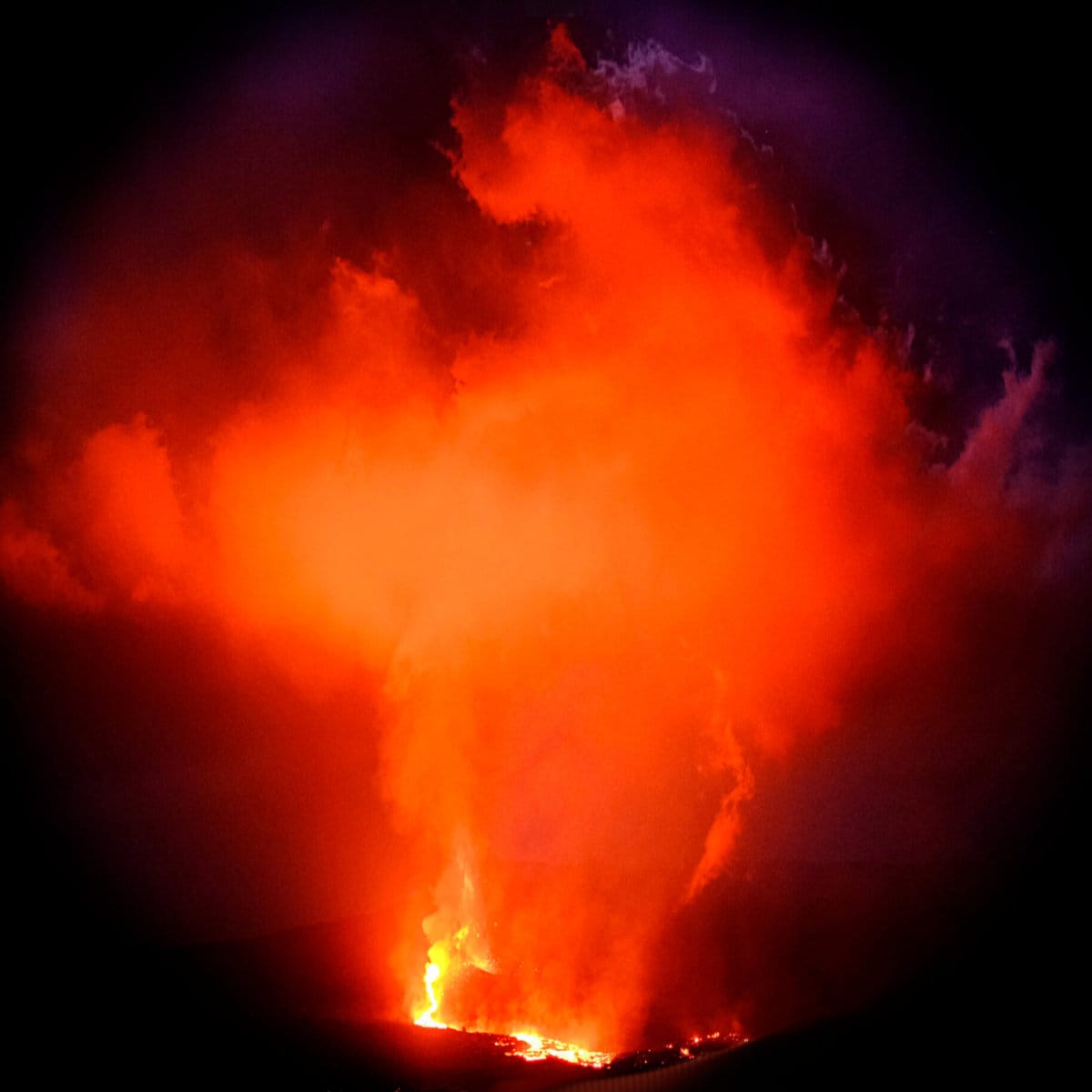 Vinyl Gone Digital & A Forgotten Classic